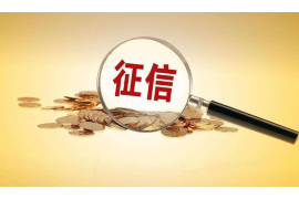 忠县忠县的要账公司在催收过程中的策略和技巧有哪些？